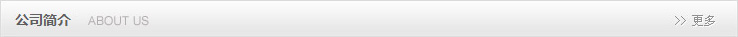公司简介